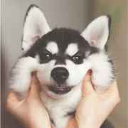 抠脚抠到无所畏惧