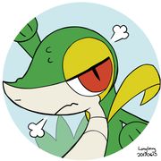 雨落落落落落落