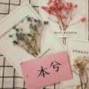 梦兮玉蝶恋