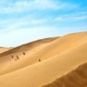 用户名无法显示