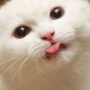 ＆陈仲廷＆小麥