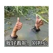 止一