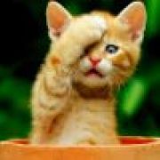 起个很长很长的名字了不起啊