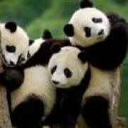 一起游戏，一起嗨！