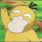 .  杨 小 兔  .