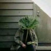 奈何烈阳照沟渠丶