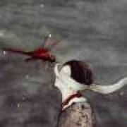 ╰⋛⋋w👑w⋌⋚╯