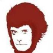 长长长长长长长长长长长长的名字