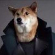 🕊ꦿ温酒叙余生꧔ꦿ᭄💞