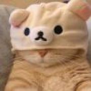 波波