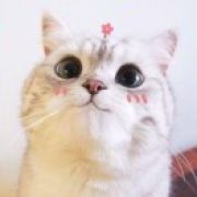 不知道取啥名