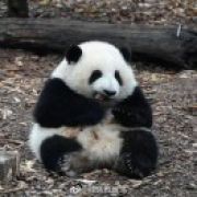 取什么名字好呢