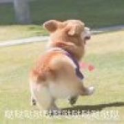 然后的然后