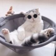 奉眠。