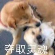 空山映火雨竹音