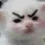 贾宝蛋