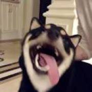 ᝰꫛꫀꪝ