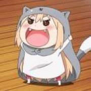 朝九晚五养母老虎