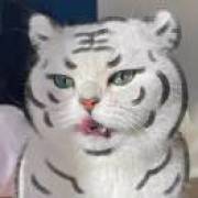 我胡汉三又回来了