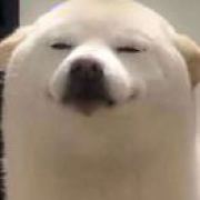 杳