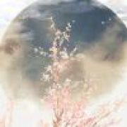 竹叶清酒