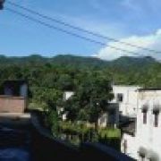 迷途的羔羊在前行