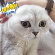 wuli