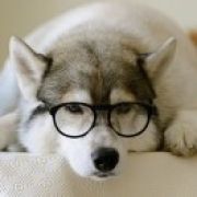 这该死的善良[旺柴]