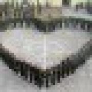 幸福加载中........