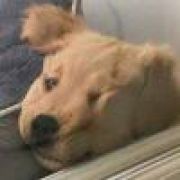 ⊙﹏⊙