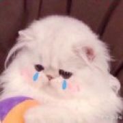 。。。