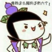 徐凤年拒北城以北