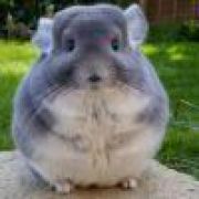 。。。