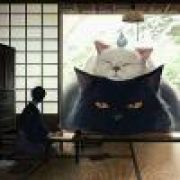 陌生