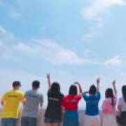 飞机
