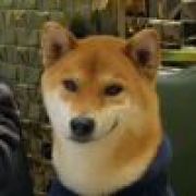 搞钱少年孙朋举