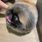 某某仓