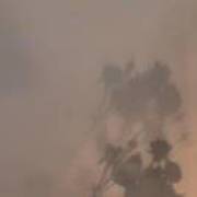 明日如昨好风送我