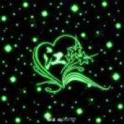 ꧁꫞*安得鸿鸾羽*꫞꧂