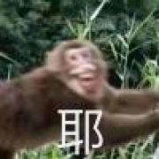 大聪明
