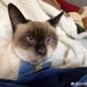 挖煤的