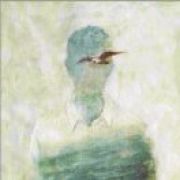 生活到处是阳光