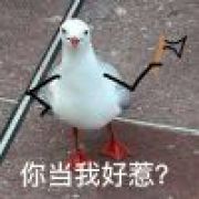 白矖