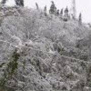 上善が水のようである