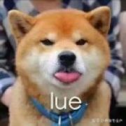 开心市民小张