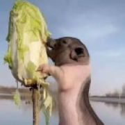 卡卡