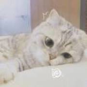 一月℡