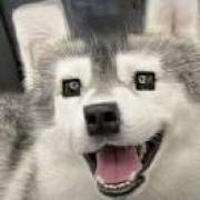 蕉灼♂