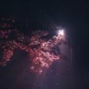 繁星