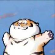 纯白色的黑